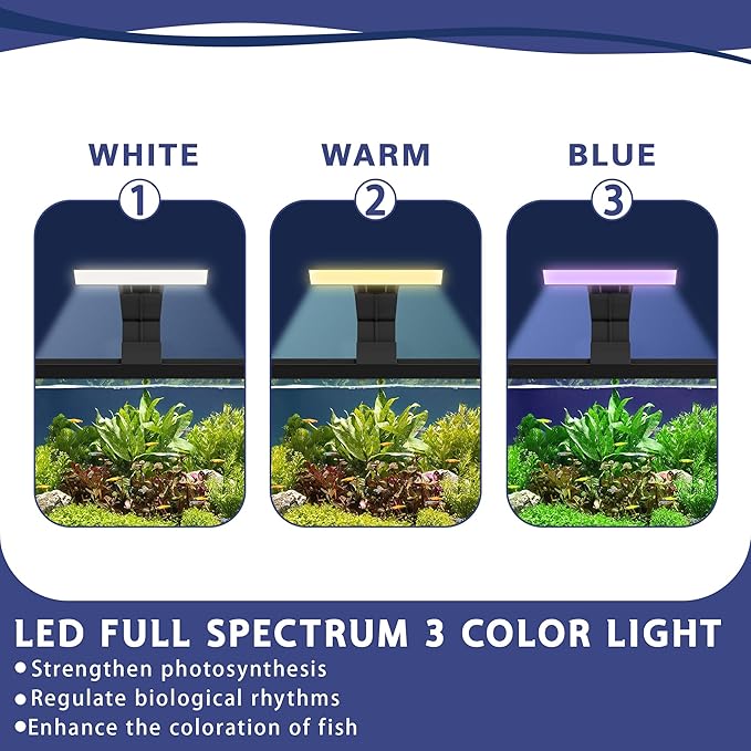 5.3 Gallon Fish Tank, 9 in 1 Betta Fish Tank, Aquarium with LED Full Spectrum 3 Color Light, 3 Modes Filter, Hydroponic Basket, Fishing Net, Shells, Aquatic Plant, Coral, Pebbles, Starter Kit (Black)