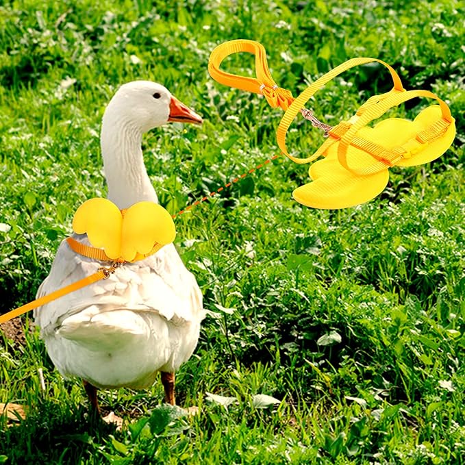 KAMA BRIDAL Duck Walking Harness and Leash Chicken Duck Outdoor Training Rope Adjustable Rope for Pet Poultry Hen Cock (S, Yellow)
