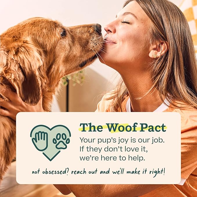 WOOF Party Pupsicle - Long-Lasting Interactive Dog Toys for Boredom - Low-Mess Design - Birthday Gifts for Dogs - Small Dog Toys - Buddy Blue