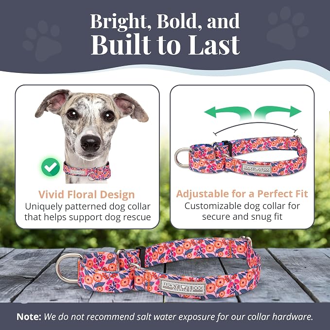 Lucky Love Dog Martingale Dog Collar - Adjustable, No-Slip, Durable, & Soft Webbing Collar for Male and Female Dogs Ideal for Training & Walking - Rosie, Large