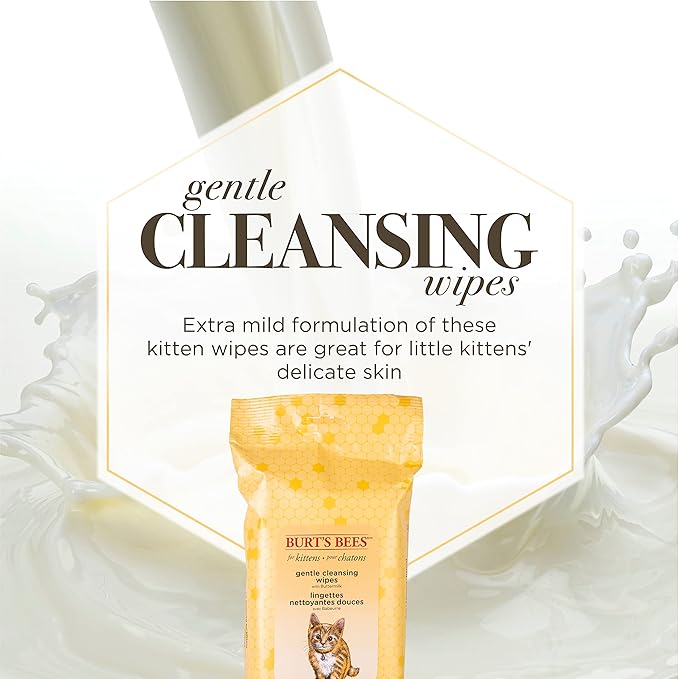 Burt's Bees for Pets Kitten Grooming Wipes with Buttermilk and Honey, Waterless Cat Bath Wipes for Face, Paws, Tail and Coat Cleaning, Gentle Bath Alternative for Indoor Felines, 50 Count