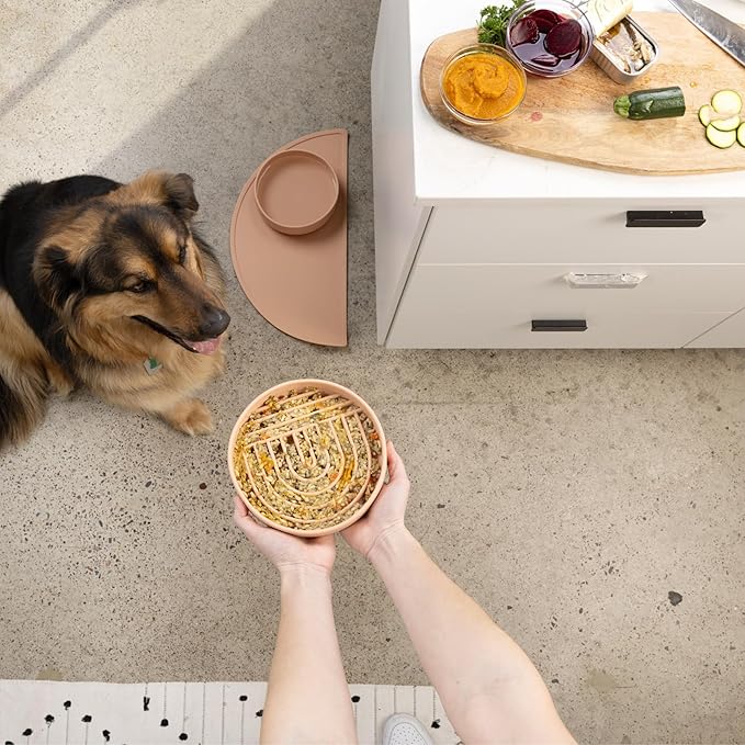 Should We Go? Slow Feeder for Dogs & Puppies, The Slowdown Bowl Silicone Slow Eating, Modern Lick Mat Design, Reduces Gulping, Fits 2 Cups, 7.5” Across x 1.5” Tall, Mealtime Challenge, Medium-Blush