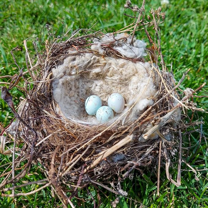 Nuanchu 3 Pcs Bird Nest Material Bird Nest Refill Material Hummingbird Nest House Gift Design Bird Nest Material for Bird Lovers, Winter Bird Bedding Gifts in Outdoor Indoor Patio (Nest Not Included)