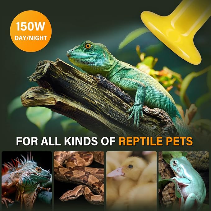 Simple Deluxe Reptile Heat Lamp 150W 2-Pack Ceramic Heat Emitter Heating Bulb No Light, Brooder Coop Heater for Terrarium Amphibian Pet Snake Turtle, Incubating Chicken, Color Version, Yellow