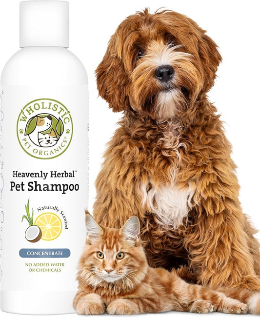 Wholistic Pet Organics Pet Shampoo Concentrate: USDA Organic Cat and Dog Shampoo for Sensitive Skin and Coat Support - Mild and Non-Irritating, Natural, Non-Toxic, Sulfate-Free, & Cruelty-Free - 8 Oz