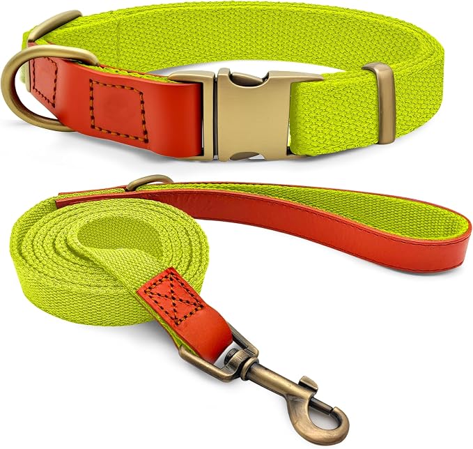 Dog Collar and Leash Set with Metal Quick Release Buckle, Adjustable, Breathable Nylon, Durable, Soft and Comfortable for Walking and Training, Fluorescent Yellow, M (12.6"-19.6")