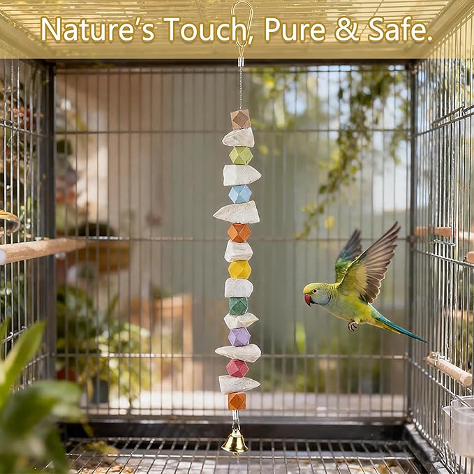 2 Pack Cuttlebone Bird Toys, Beak Grinding Stone Cage Accessories for Parakeets, Budgies, Cockatiels, Lovebirds, Green Cheek Conures, Small to Medium Birds