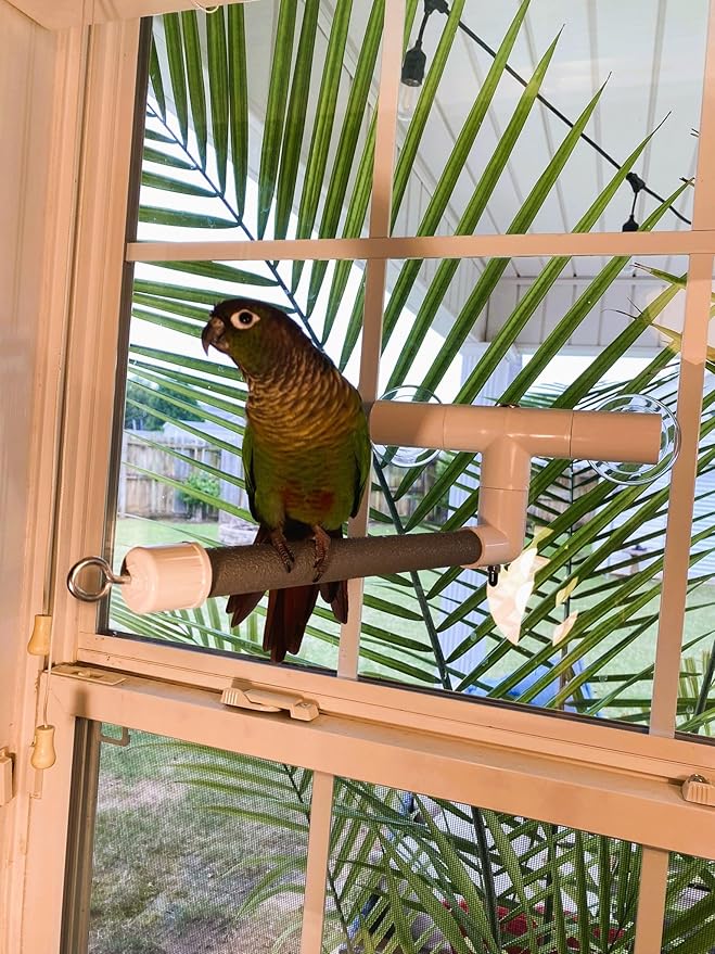 Polly's Portable Window-Shower Perch with Suction Cups for Cockatiels, Macaws, African Greys (Deluxe, Small)