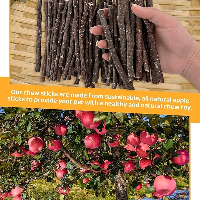 ANDES Natural Apple Sticks Small Animals Molar Wood Treats Toys Chinchilla Guinea Pig Hamster Rabbit Gerbil Parrot Bunny and Small Animals Chew Stick Toys Treats (Premium Apple Sticks -10.6oz)