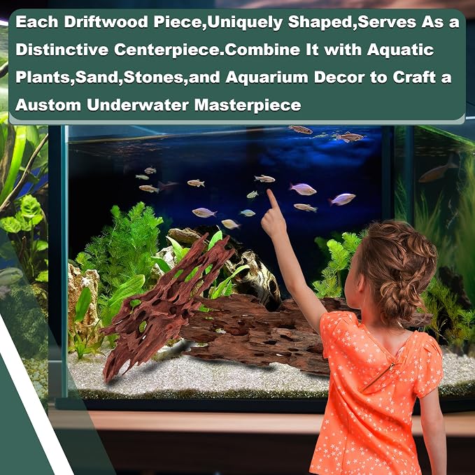 Natural Wood Driftwood for Aquarium Fish Tank Decor,Assorted Driftwood Trunk Branch for Reptile Tank Decor (SHP-XM Driftwood (6 to10 Inch)-Pack of 2)