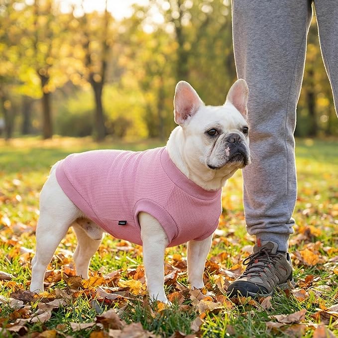3 Pack Dog Shirt for Small Supplies Functional Waffle Dog Clothes Warm Soft Sweatshirt Outfit for Dogs Cats Pet Apparel