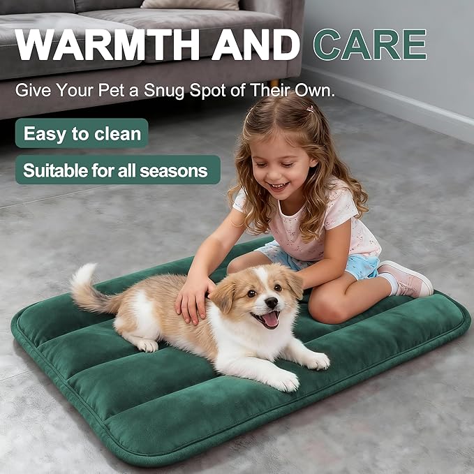 Dog Bed Mat, Reversible Dog Crate Pad with Washable Kennel Mat and Soft Foam, Flat Pet Bed for Dogs & Cats, for Crates Carriers & Travel (Green, 23" L*14" W*1.5" Th)