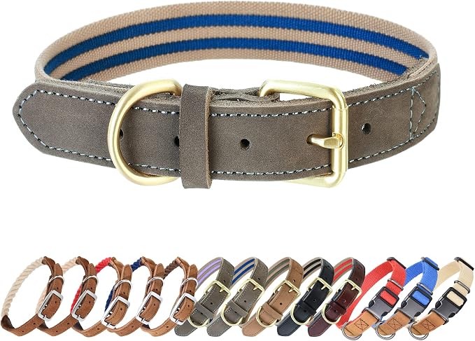 Mile High Life Genuine Leather Dog Collar, Heavy Duty Canvas Collar with Adjustable Metal Pin Buckle for Small Medium Large Dogs (Navy Blue, M Neck 15"-18")