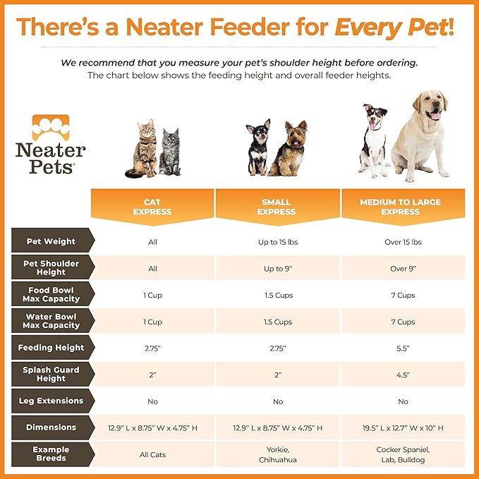 Neater Feeder Express Mess Proof Cat Bowls Elevated, No Spill Feeding Station, Stainless Steel Dishes for Food and Water, Raised Bowls for Indoor Cats, No Fatigue Whisker Friendly Dish, Almond