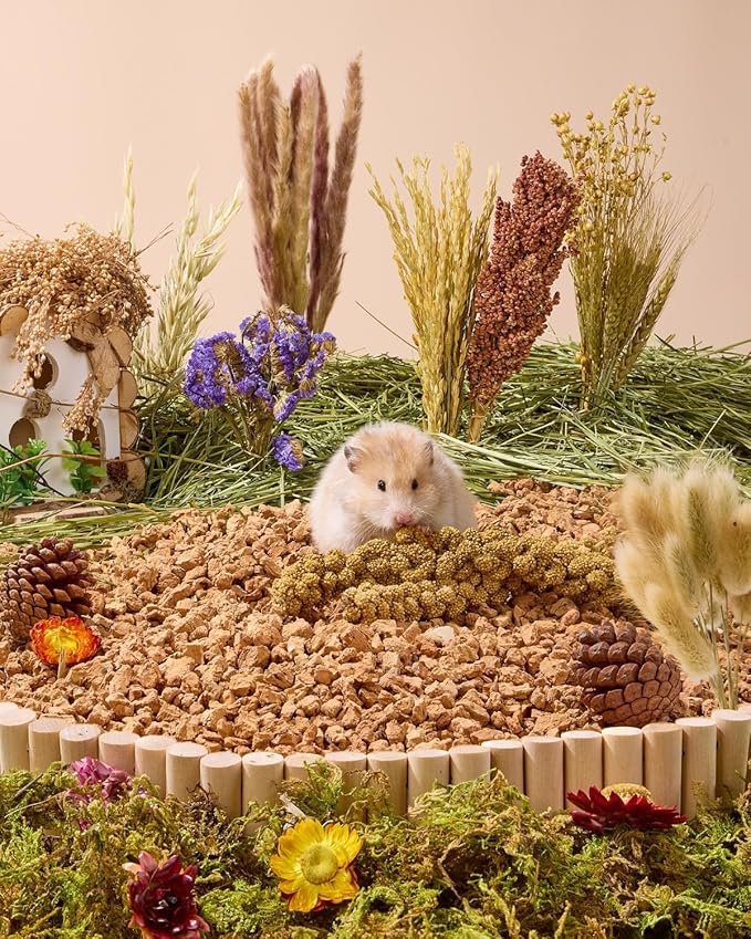 BUCATSTATE Natural Hamster Bedding - Flowers & Herbs & Sprays for Cage Habitat Decor - Treat Cereal Grain for Dwarf Syrian Gerbils, Mice, Rat, Forage, Enrichment (76PCS)