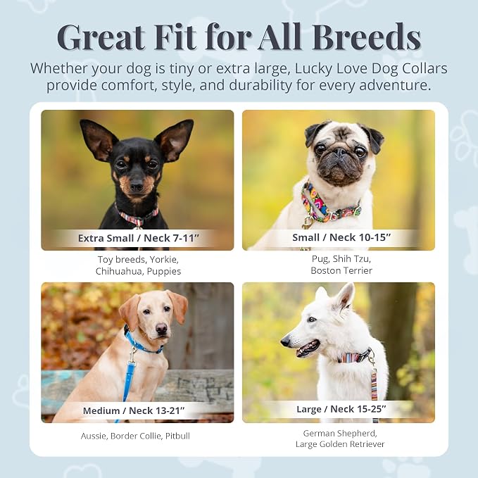 Lucky Love Dog - Adjustable Dog Collar with Easy Click Buckle for Small Dogs, Durable, & Comfortable for Male & Female Dogs, Pet Collar for Puppies & Adult Ones - Linus, XS