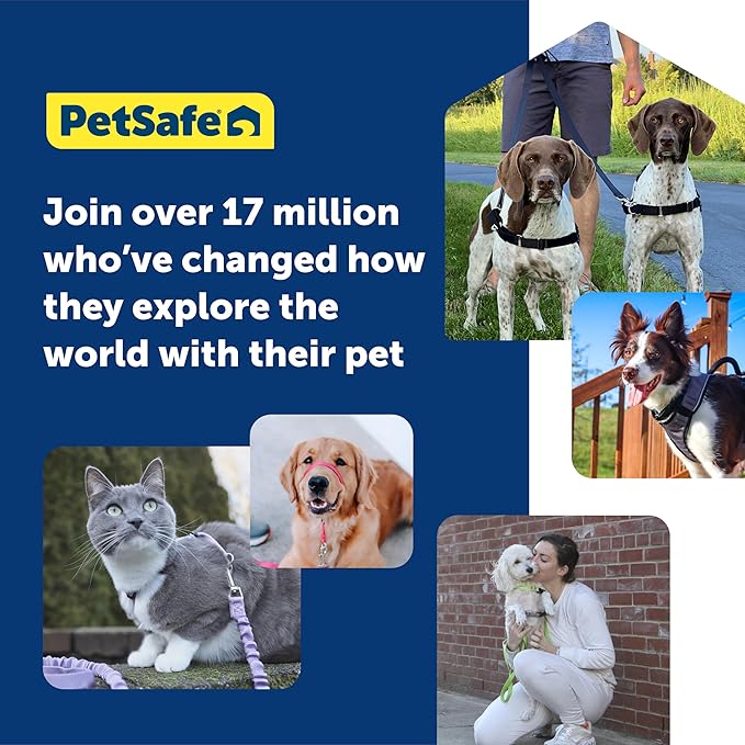 PetSafe Easy Walk Harness for Dogs - Pull-Free Walks - Patented Martingale Loop Design - Front Chest Leash Attachment - Comfort Straps - Breathable Harness Design - Medium/Large, Deep Purple/Black