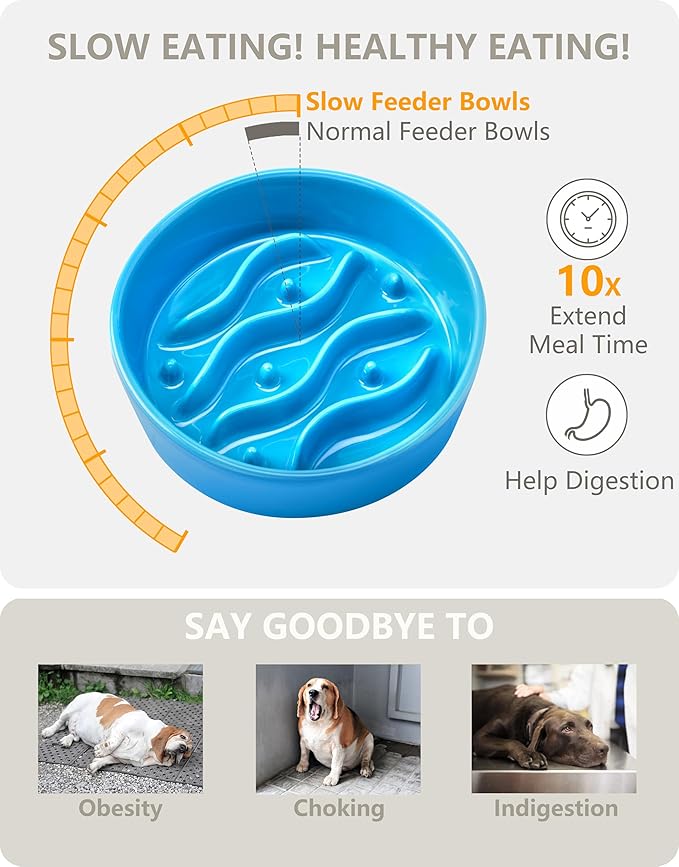 Ceramic Slow Feeder Dog Bowls Elevated, 0.6 Cup Dog Slow Feeder for Small Dogs, Puzzle Maze Bowl, 14oz, 6in, Baby Blue