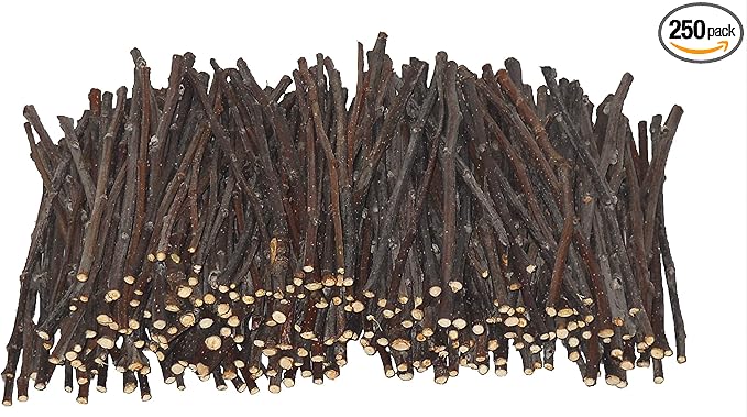 250 Apple Skinny Twig Chews for Rabbits, Guinea Pigs, Chinchillas and Other Small Animals