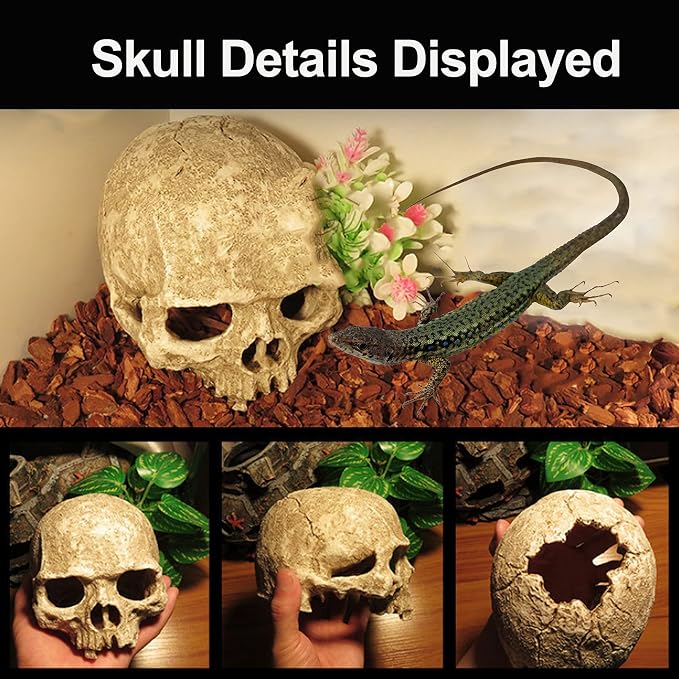 Tfwadmx Aquarium Skull Decor, Resin Fish Tank Decorations Aquarium Shrimp Cave Betta Fish Hiedout Reptile House for Small Fish,Shrimp