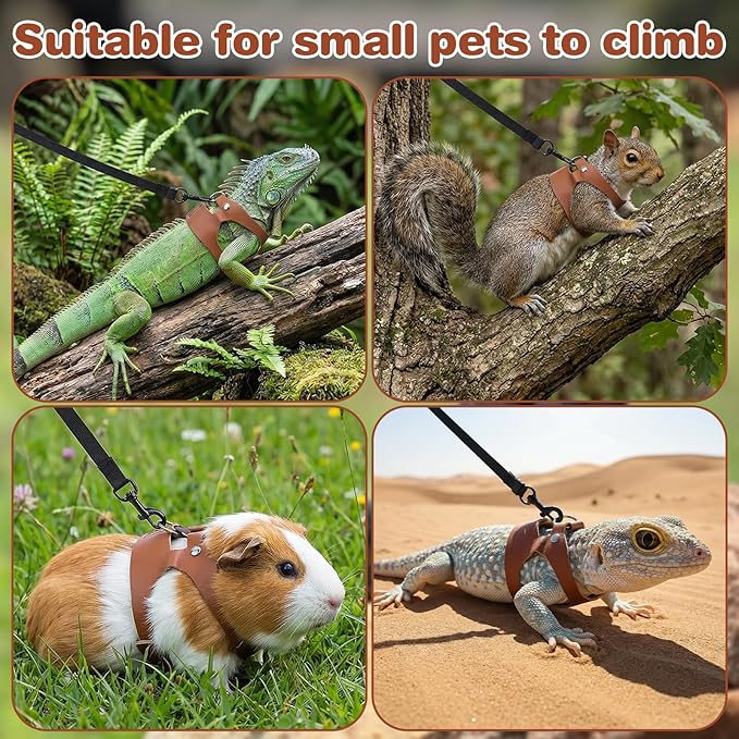 3 Pack Bearded Dragon Harness and Leash Set, Small Animal Traction Rope Training Walking Vest Accessories, 3-Size Adjustable Soft Leather Lizard Vest Harness Leash for Squirrel Reptile Rat