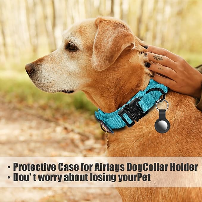 Celifelight Tactical Dog Collar Military Dog Collar Adjustable Nylon Dog Collar Heavy Duty Metal Buckle with Handle for Dog Training,with Patches(Light Blue 1, M), Medium