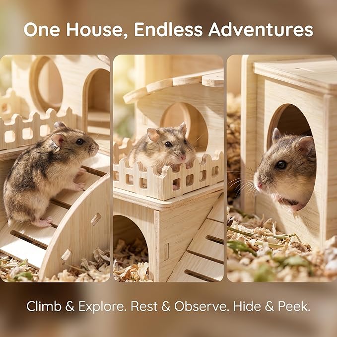 WRINGKIT Wood Hamster House, Tiny Maze Hamster Hideout, Fun Slide Gerbil House with Window, Detachable Double Decker Hut for Hamster Dwarf Mice Mouse Small Animals