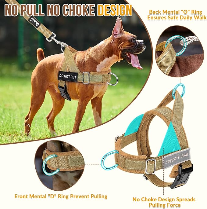 Lukovee No Pull Dog Harness & Leash Set - Heavy Duty Dog Vest Harness with Soft Padded for Medium Large Dogs, Adjustable Reflective Tactical Pet Harness for Easy Walk and Training (M, Yellow)
