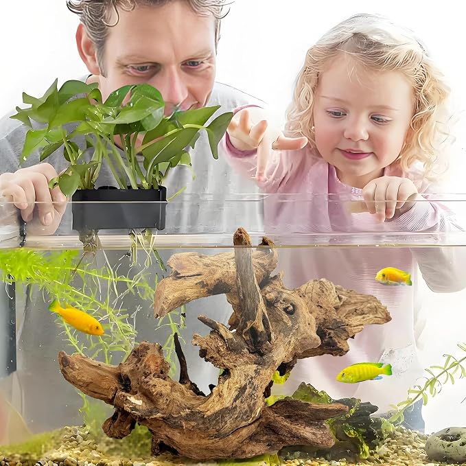 kathson Large Natural Aquarium Driftwood Reptiles Branches Terrarium Ornament Sinkable Wood Decor Trunk Fish Tank Log Habitat Decoration (11"-17")