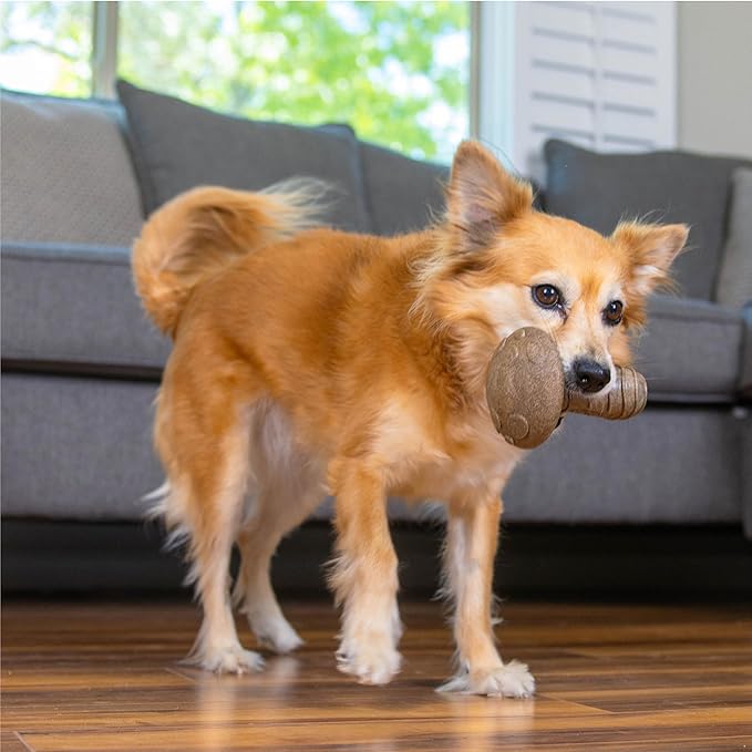 Pupstages Dogwood Mushroom Durable Dog Chew Toy, Peanut Butter Scent, Medium
