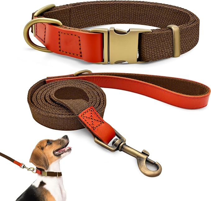 Nylon Dog Leash and Collar Set with Metal Quick Release Buckle, Adjustable, Durable High-Density Fabric, Breathable, Soft and Comfortable, No Pull for Walking and Training, Brown, M (12.5"-19.6")