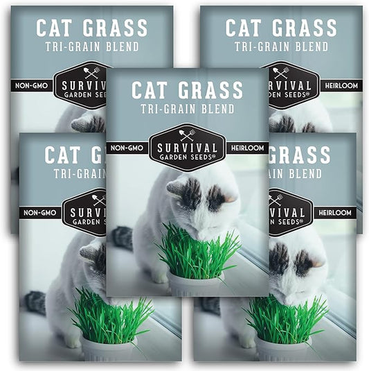 Cat Grass Seeds for Planting – Grow Pet Greens Indoors or Outdoors – Heirloom Non-GMO Tri Grain Blend – Survival Garden Seeds (5 Pack, Seed Only)