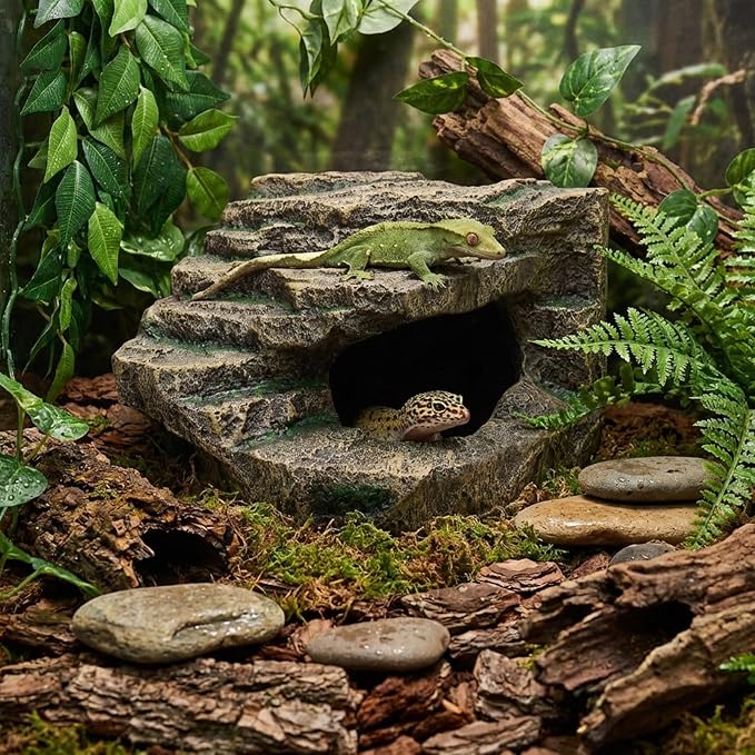 Beared Dragon Tank Accessories for Adults, Snake Hide, Reptile Tank Accessories, Perfect Natural Large Reptile Hide, Professional Turtle Basking Platform (E-Large)