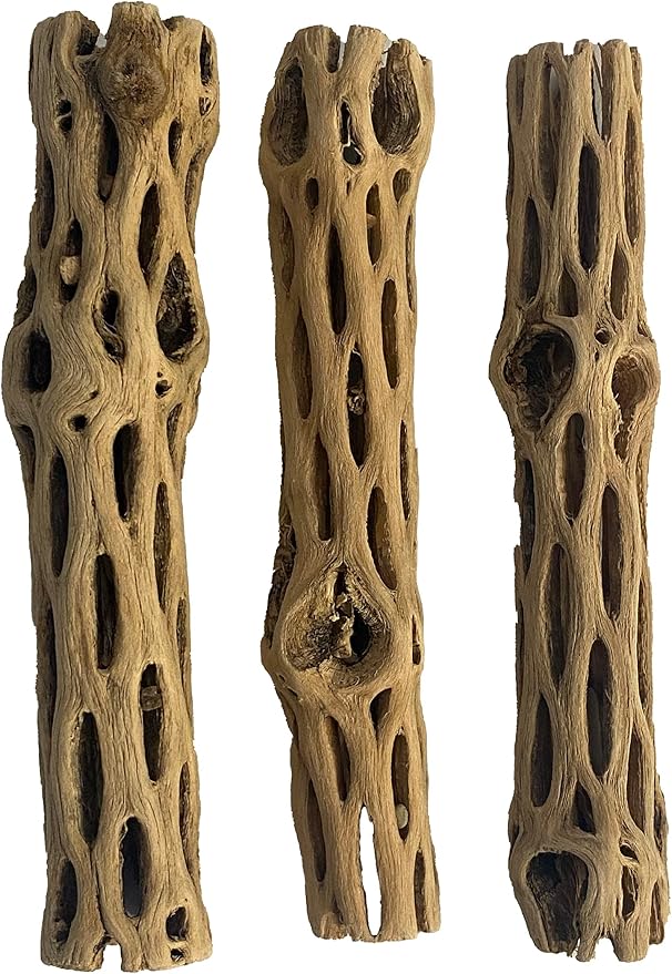 Awesome Aquatic Natural Staghorn Cholla Wood Tube, 3 Pack, 6 Inch | Biofilm surface Secure hiding places Shrimp habitat Pleco shelter Hermit crab climbing Aquarium décor Terrarium décor