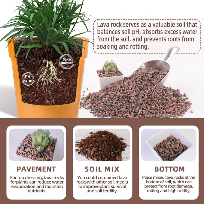 CJGQ 18lb Mix Lava Rocks for Plants - Horticultural Volcanic Rock Gravel for Landscaping, Succulents, Bonsai, Vase Fillers, Terrarium Plants, Top Dressing