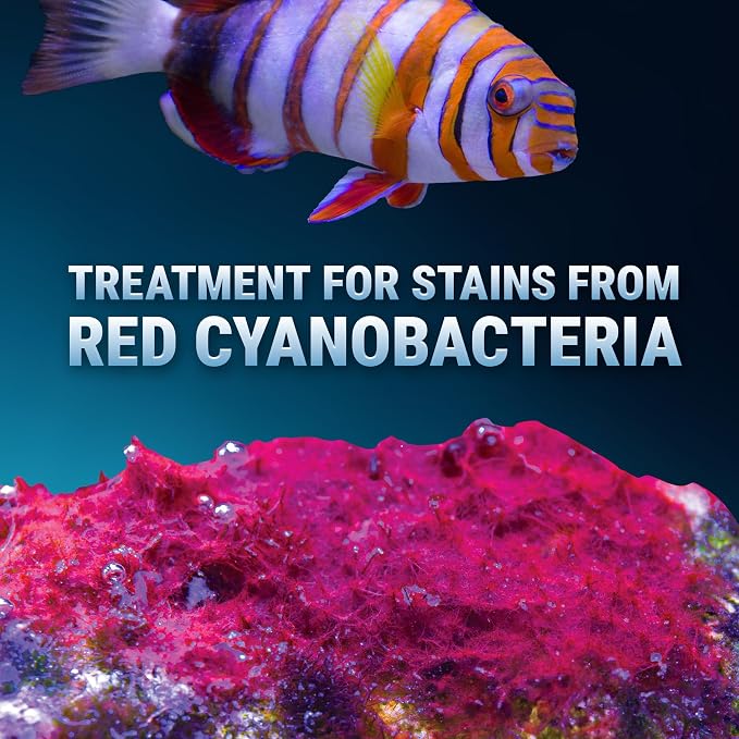 Fritz Aquatics Slime Out Treatment for Stains from Red Cyanobacteria in Fresh or Saltwater Aquariums (10-Count)