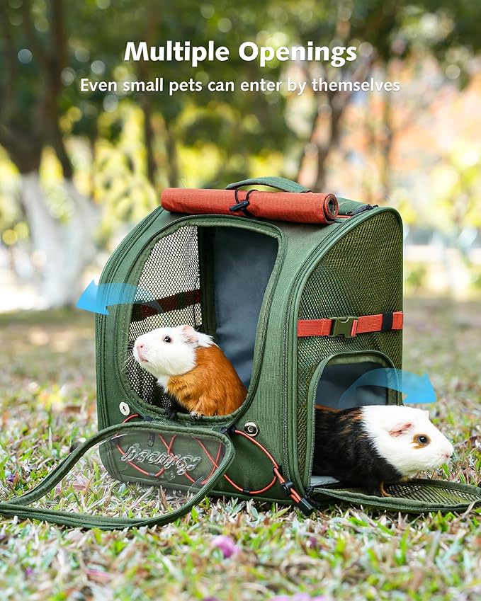 Pecute Small Pet Carrier, Breathable Guinea Pig Carrier with Transparent Bubble & Steel Frame, Safety Lock for Hamster, Rabbit, Bearded Dragon, Lizard, Ideal for Hiking, Vet Visits, Camping, Green