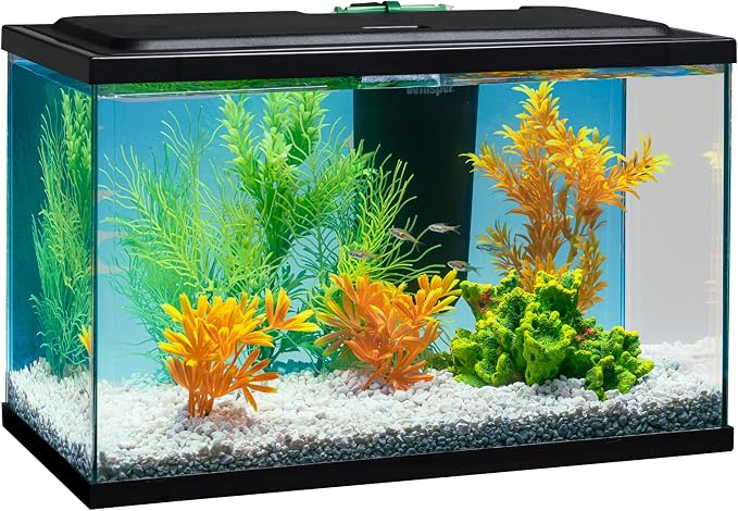Tetra Whisper Bio-Bag Medium Filter Cartridges for Aquariums, 6 Count | Unassembled, Fits Tetra Whisper Fish Tank Filters 5-10 Gal, PF-10, IQ 10, Replace Monthly