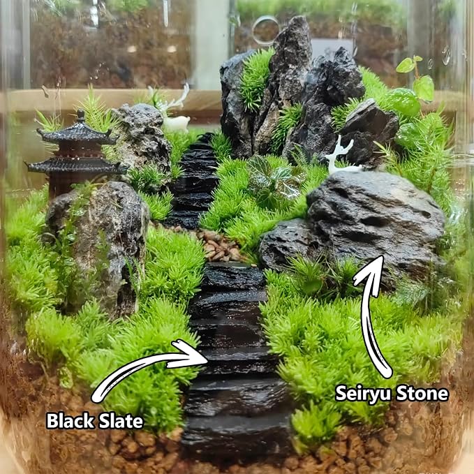 Natural Rocks Slate Stone 1-2.5 Inches Decorative Rocks for Miniature Landscaping,Fairy Gardens,Bonsai,DIY Crafts, Aquariums & Reptile Terrariums-2lb