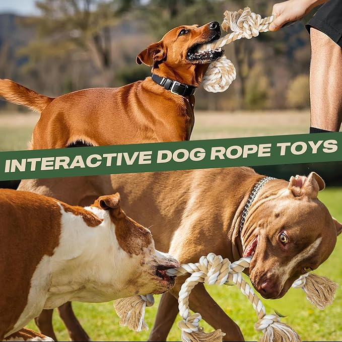 TwoEar Dog Rope Toy 4 Pack - Dog Rope Toys for Large Dogs - Indestructible Natural Cotton Chew Toys for Aggressive Chewers - Tough Tug of War Dog Toys for Boredom, Teeth Clean