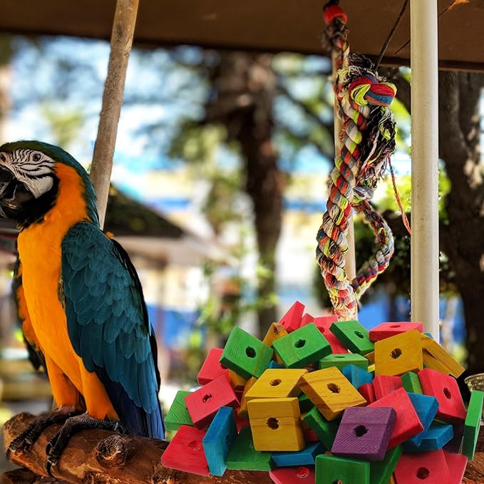Gatuida 100Pcs Wooden Blocks Parrot Toys Bird Cage Chewing Wood Blocks for Parrots DIY Shredding Supplies