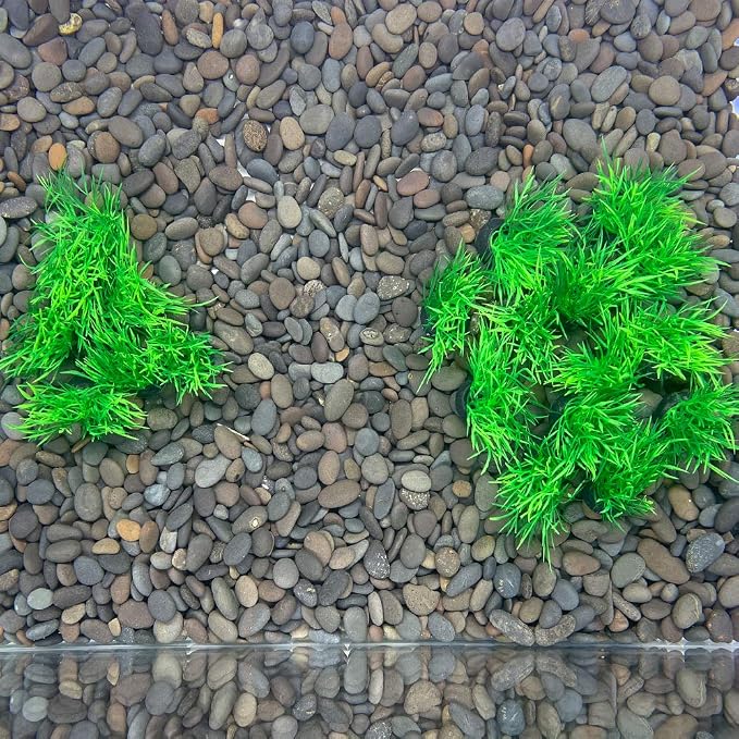 Aquarium Plant Fish Tank Decoration 20 Pieces Small/1" Tall Plastic Artificial Plant Goldfish Hidden Mini Grass Set (Green-C)