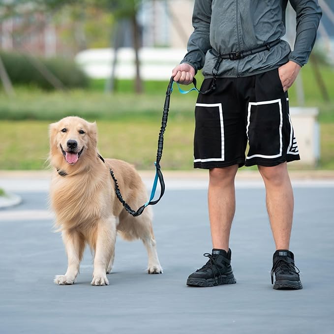 iYoShop Hands Free Dog Leash with Zipper Pouch, Dual Padded Handles and Durable Bungee for Walking, Jogging and Running Your Dog (Large, 25-120 lbs, Grey)
