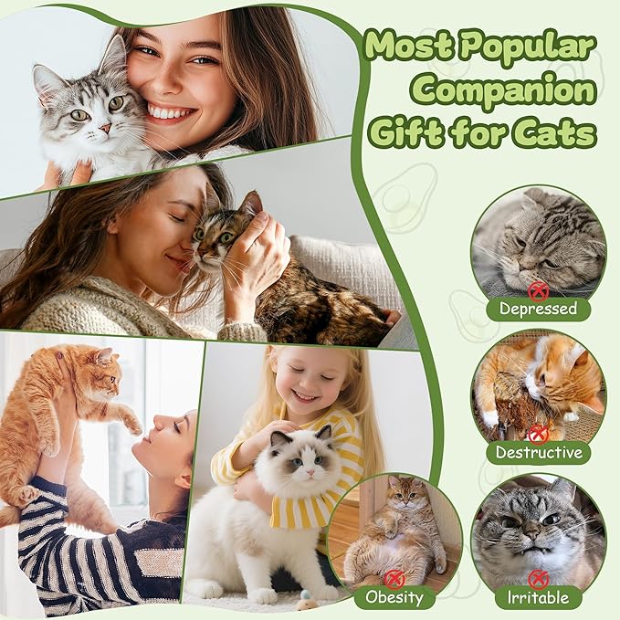 Interactive Cat Toys for Indoor Cats,Electric Flying Bird & Mouse Wand Teaser, Automatic Hanging Door Frame Chase/Hunt/Exercise Stimulate String Cat Toy for Bored Indoor Adult & Kitten
