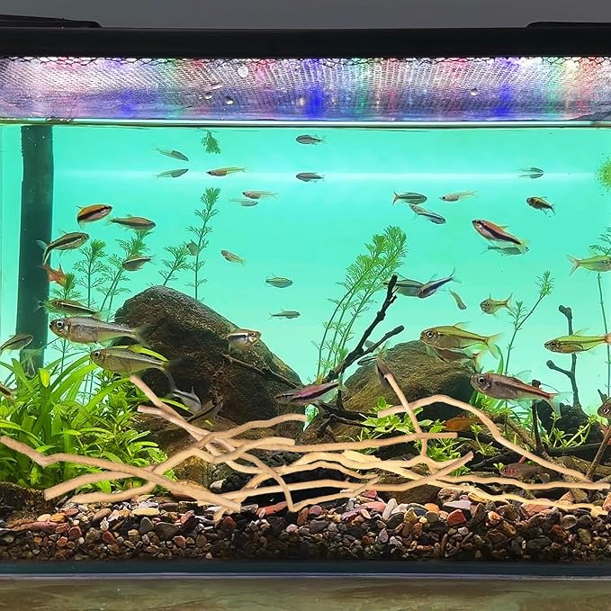 Hamiledyi Natural Driftwood for Aquarium Decor - Red Moor Wood 10"-15" Long Assorted Shapes (200g) Safe Branches for Fish Tank & Reptile Habitat - Natural Aquarium Wood Decorations (Medium Branches)