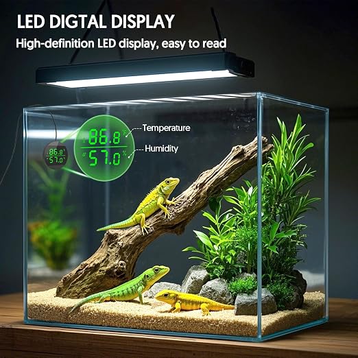 QZQ Reptile Thermometer and Humidity Gauge, Digital Display, Black | LED Thermometer Hydrometer, Reptile Tank Accessories for Bearded Dragon, Crested Gecko, Snake, Lizard, USB Power Supply
