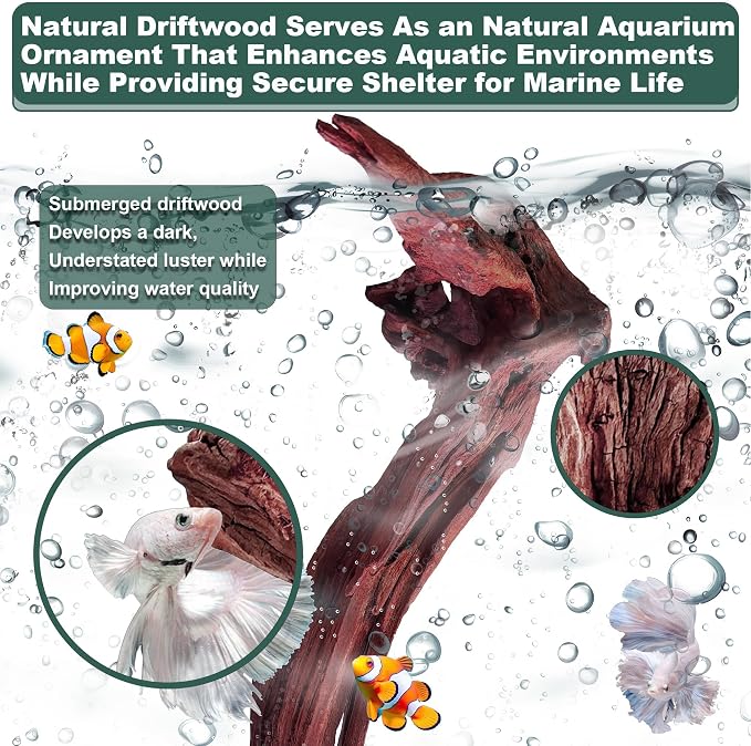 Natural Wood Driftwood for Aquarium Fish Tank Decor,Assorted Driftwood Trunk Branch for Reptile Tank Decor (MOP-ZYM Driftwood Branch (12 to16 Inch)-Pack of 3)