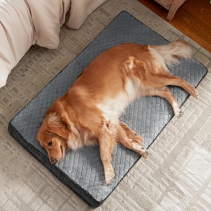 JOEJOY Orthopedic Dog Bed for Large Dogs, Washable Dog Crate Bed Large Sized with Removable Cover, Egg Memory Foam Big Pet Beds, Light Grey, 35"x22"