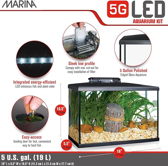 Marina 5 Gallon (19 L) LED Aquarium Kit | Ideal for Beginner Aquarists and New Fish-Keepers