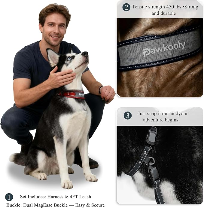 MagEase Dog Collar with 4FT Leash | Adjustable | Anti-Wrinkle, Bite & Stain-Resistant Leather | Soft & Skin-Friendly | 450LB Escape-Proof Magnetic Buckle (Navy Blue, Extra Large)